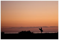 surfer in sunset