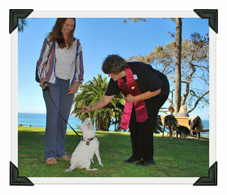 blessing dog in Pines Park San Clemente