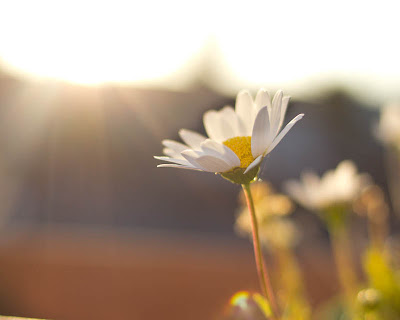 Magic in the Ordinary of