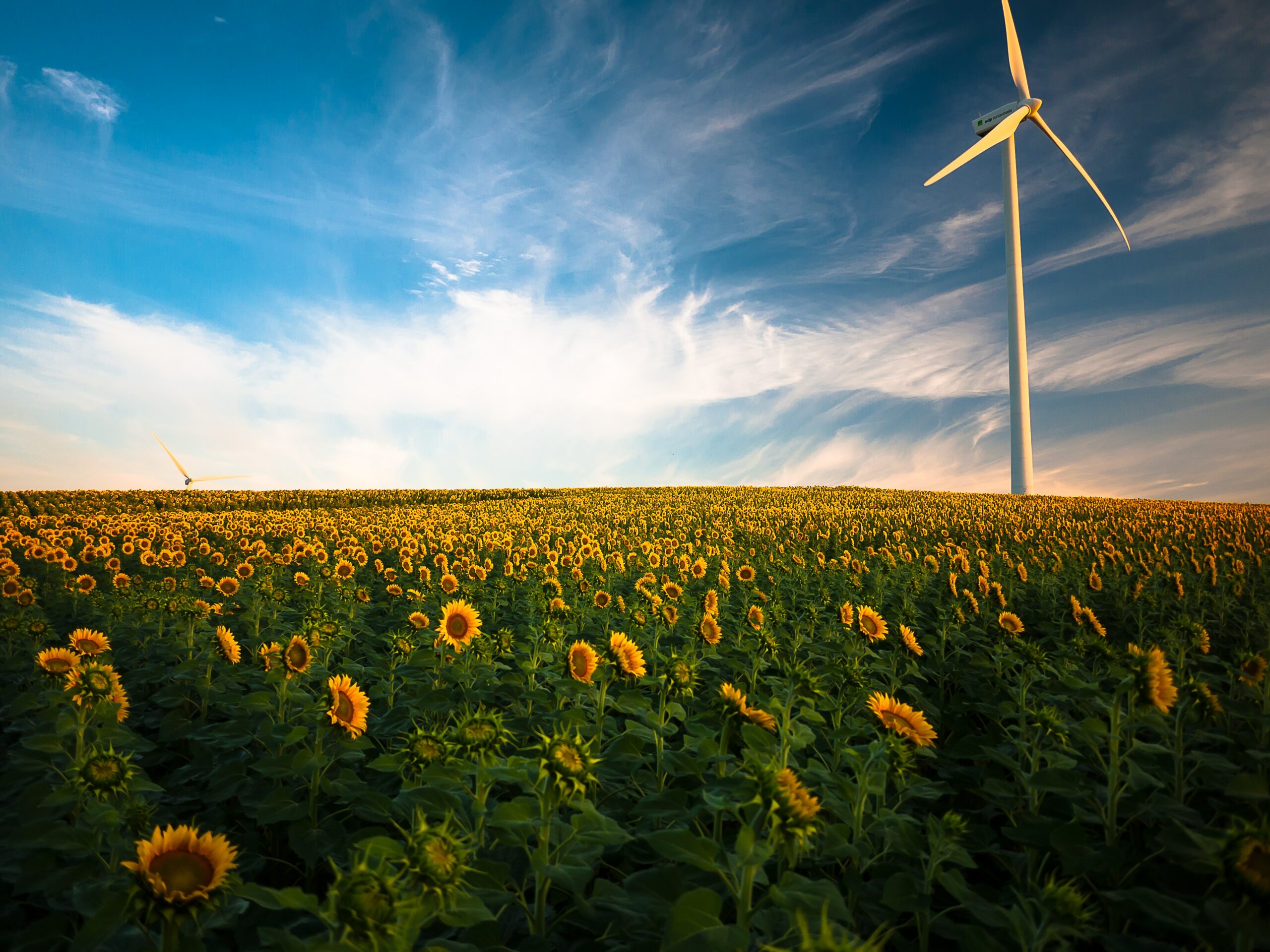 Earth Day gustavo quepon unsplash ()