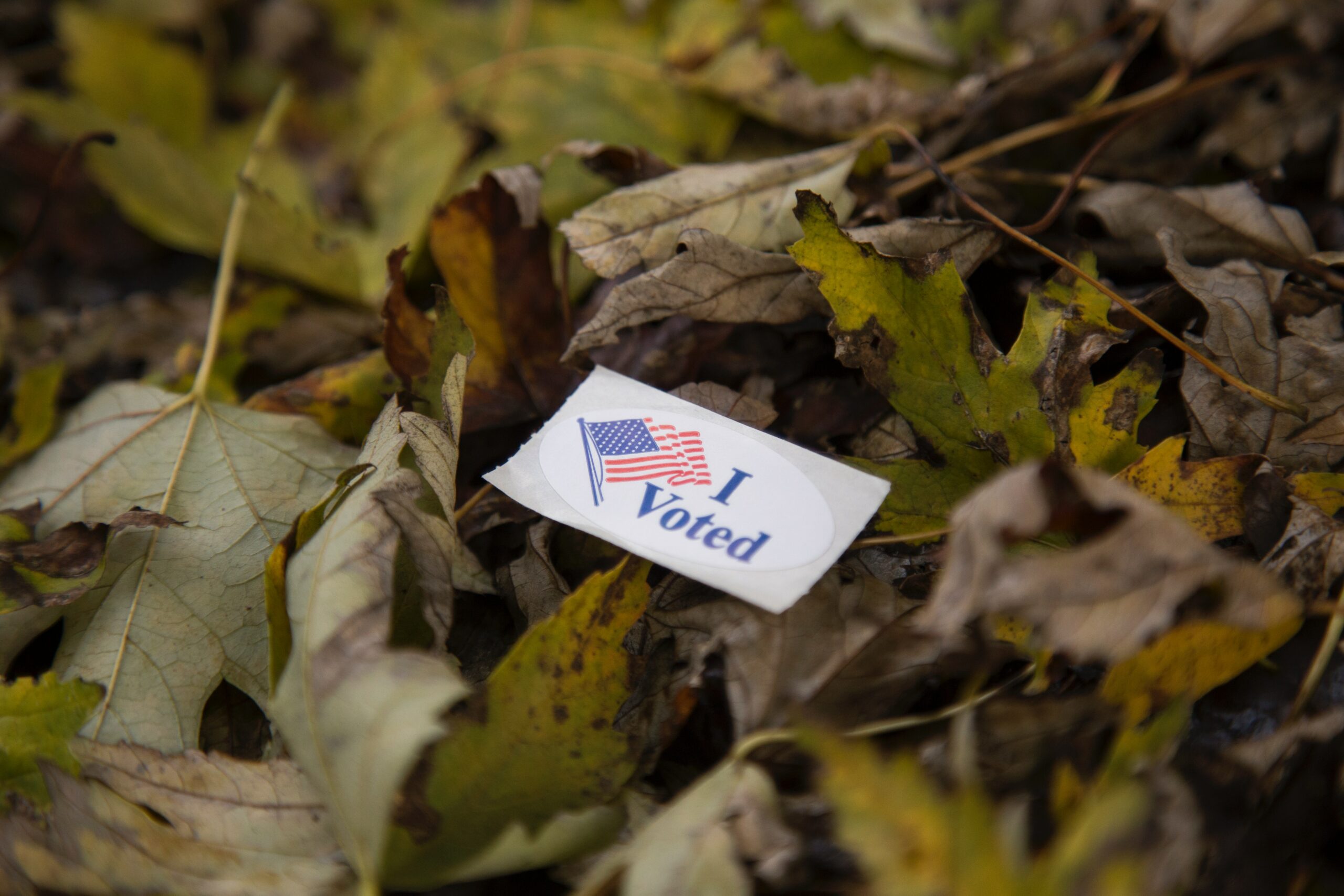 I voted Dr Heather blog