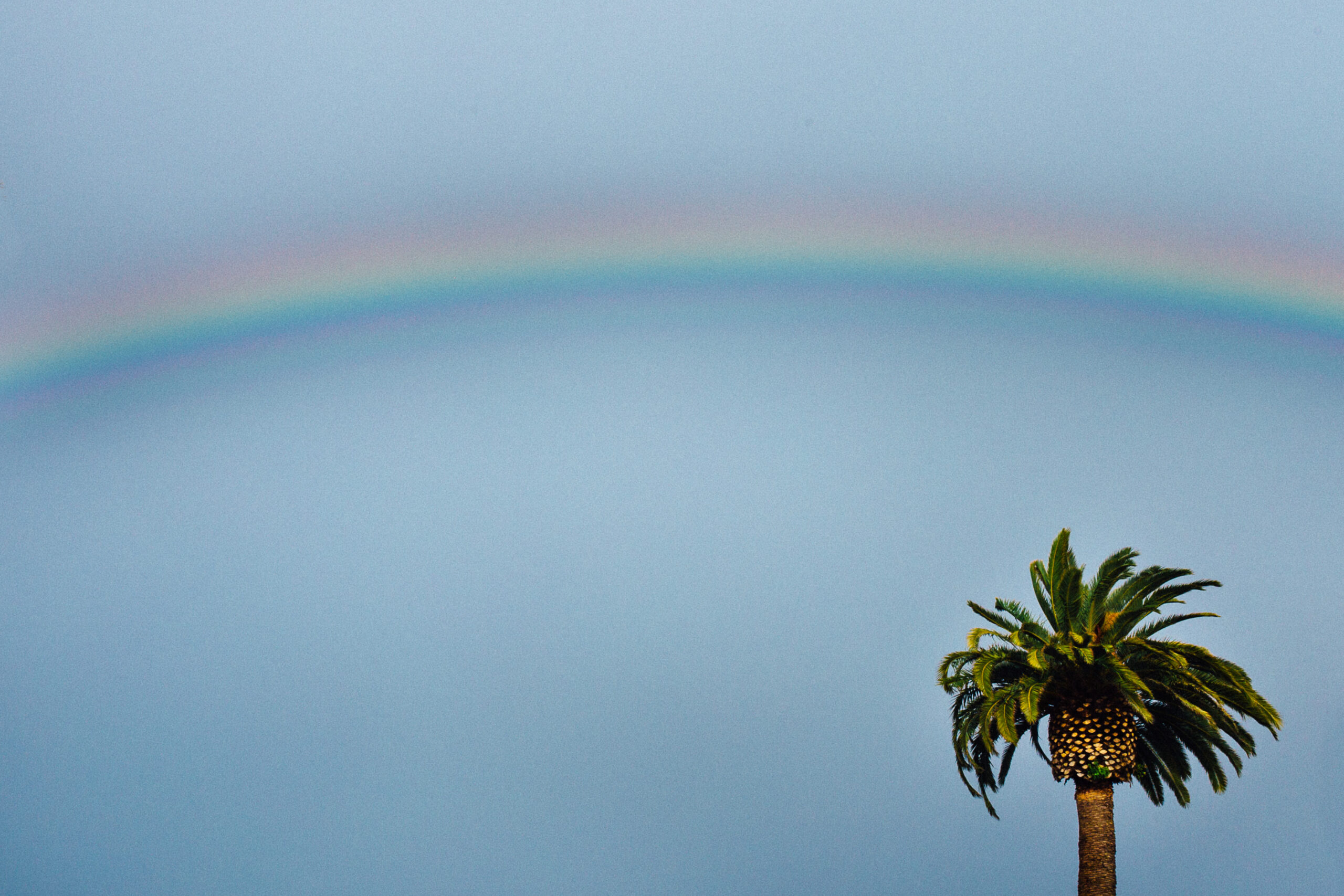 environment ( of )